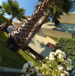 Bazén v ubytování Hotel Jaho nebo v jeho okolí