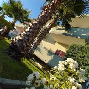 a building with a palm tree next to a building at Hotel Jaho in Kavajë