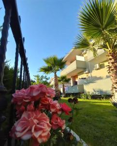 a house with palm trees and flowers in front of it at Hotel Jaho in Kavajë