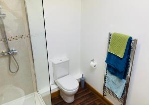 a bathroom with a toilet and a glass shower at The Woodshed in Warnford