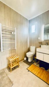 a bathroom with a toilet and a sink at Tiny house proche de Morgat in Crozon