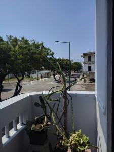 une plante en pot sur la corne d'un balcon dans l'établissement Alquiler de departamento independiente en Bahía de Caraquez, à Bahía de Caráquez