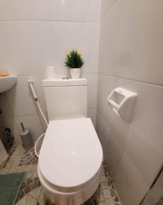 a white toilet with a plant on top of it at Omma's Beach House in Lian
