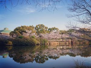 a view of a pond with trees and a fence at Classy仏生山 in Takamatsu