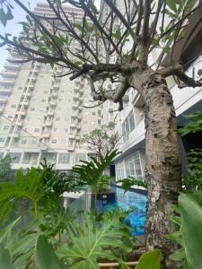 a tree in front of a large building at apartemen bintaro icon in Pondokaren