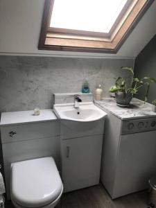 a bathroom with a toilet and a sink and a window at Llysfaen Cottage in Brecon