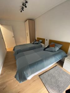 1 dormitorio con 2 camas y alfombra en VIAJERO, en Briviesca