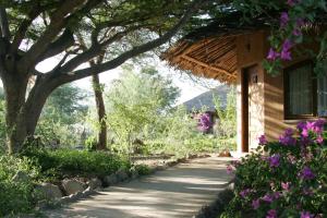 Kia Lodge في أروشا: ممشى بجوار منزل به زهور أرجوانية