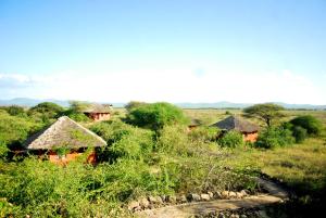 a group of huts in a field with a river at Kia Lodge in Arusha