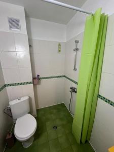 a bathroom with a toilet and a green shower curtain at Cozy studio stay in Sofia in Sofia