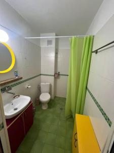 a bathroom with a green shower curtain and a toilet at Cozy studio stay in Sofia in Sofia