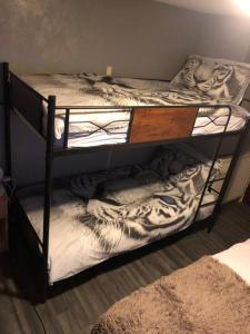 a couple of bunk beds in a room at Chaplins in Blackpool +56 photos
