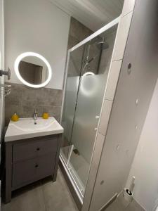 La salle de bains est pourvue d'une douche, d'un lavabo et d'un miroir. dans l'établissement Le pigeonier, à Aix-les-Bains
