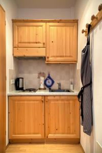 eine Küche mit Holzschränken und einem Waschbecken in der Unterkunft Zunerhof Studio Fenn in Lengstein