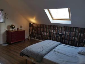 T4 La Bresse 6 a 8 couchages في لابريس: غرفة نوم بها سرير والكثير من الكتب