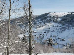 T4 La Bresse 6 a 8 couchages في لابريس: وادي مغطى بالثلج وفيه بيوت على جبل