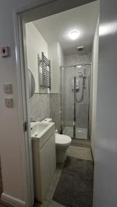 a bathroom with a shower and a toilet and a sink at Wandsworth Guest Studio 64 in London