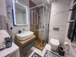 ein Bad mit einem Waschbecken, einer Dusche und einem WC in der Unterkunft Apartmani MM Zlatibor in Zlatibor