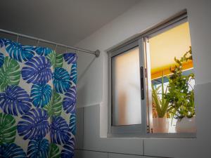 una ventana con una cortina con una planta en Lolas Hostal, Habitacion Exclusiva para Mujeres, 2 camarotes, precio por cama, en San José