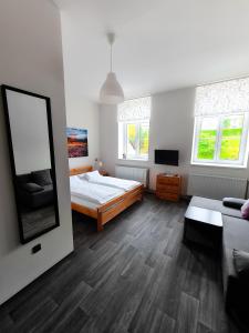 1 dormitorio con 1 cama, TV y sofá en Apartmány u Maxíků en Horní Maršov