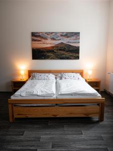 1 cama en una habitación con 2 lámparas y una pintura en la pared en Apartmány u Maxíků en Horní Maršov