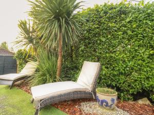 a wicker chair and palm trees in a garden at Maples Annex in Heanor