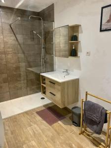 ein Bad mit einem Waschbecken und einer Dusche in der Unterkunft Studio spacieux proche gare et centre ville in Saint-Amand-les-Eaux