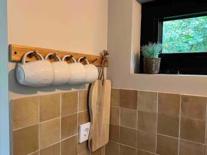 een badkamer met rollen toiletpapier aan de muur bij Duynbossie in Schoorl