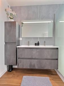 uma casa de banho com um lavatório e um espelho em ''The View'' de Miss.K Conciergerie em Mâcon