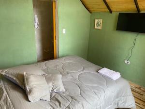 a large bed in a room with a green wall at Hospedaje - Cabañas villa rosita in Monguí