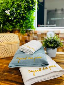 two towels sitting on top of a table at La Forêt des Pins - Free Check-In - Wifi - Parking Privé - Netflix - Draps & Serviettes inclus in Labenne