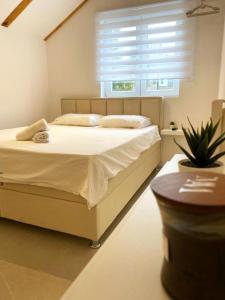 En eller flere senge i et værelse på AQUA Apartment