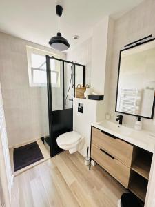 een badkamer met een toilet, een wastafel en een spiegel bij Appartement cosy - centre-ville in Lorient