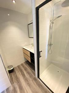 uma casa de banho com uma cabina de duche em vidro e um lavatório. em Grand studio, belle terrasse avec vue em Nantes