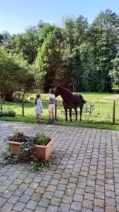 Gallery image of Au Coin des Fagnes in Jalhay +28 photos