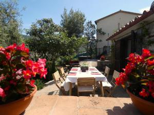een tafel met stoelen en rode bloemen op een patio bij SCAPPO IN UMBRIA, la casa di Giuliana in Lugnano in Teverina