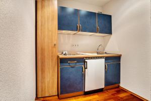 Ett kök eller pentry på Landschloss Ernestgrün Apartment214