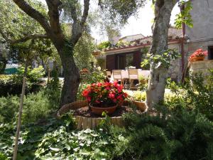 een tuin voor een huis met bloemen bij SCAPPO IN UMBRIA, la casa di Giuliana in Lugnano in Teverina