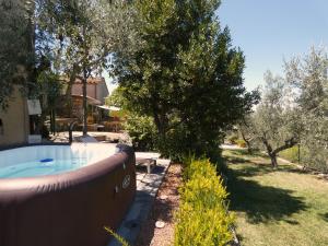 een hot tub in een tuin met een boom bij SCAPPO IN UMBRIA, la casa di Giuliana in Lugnano in Teverina