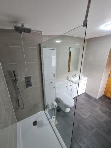 a bathroom with a shower and a toilet and a sink at Bruxie Holiday Cottages - River Cottage in Maud