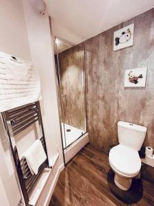 a bathroom with a toilet and a shower at Onnen Fawr Farmhouse in Brecon