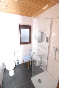 La salle de bains est pourvue d'un lavabo, de toilettes et d'une douche. dans l'établissement Gästehaus Balzer, à Marbourg