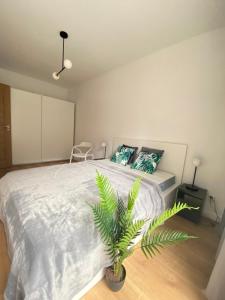 sypialnia z dużym łóżkiem z rośliną w obiekcie Apartamenty Fuzja - Komfortowe Mieszkania Blisko Centrum Łodzi w Łodzi