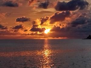Soluppgång eller solnedgång från båten
