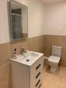 a bathroom with a sink and a toilet and a mirror at One Bedroom Apartment in Bethesda in Bangor
