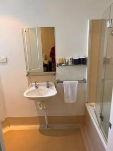 ein Bad mit einem Waschbecken, einem Spiegel und einer Dusche in der Unterkunft Ensuite gouger entire apartment in Adelaide