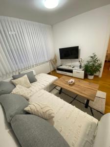 Pranjić Apartment في زابرشيتش: غرفة معيشة مع أريكة وطاولة قهوة