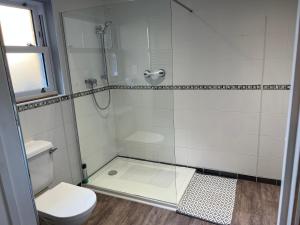 a bathroom with a shower and a toilet at Cosy Hillside Annex in Stanwick