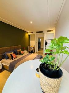 a living room with a couch and a table with a plant at Appartement Marsa Ville in La Marsa