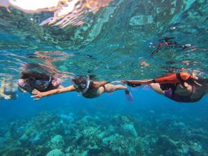 Hosté ubytování Moehiva Camping Rapa Nui